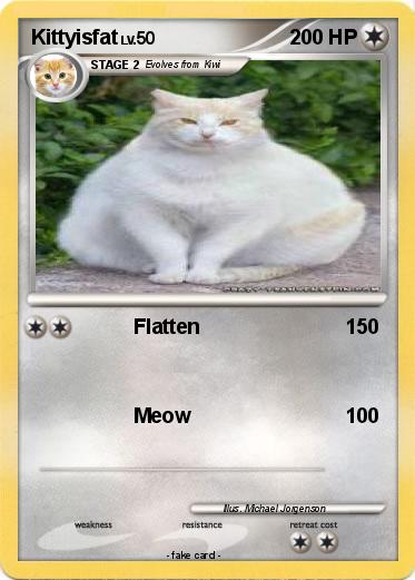 Pokemon Kittyisfat