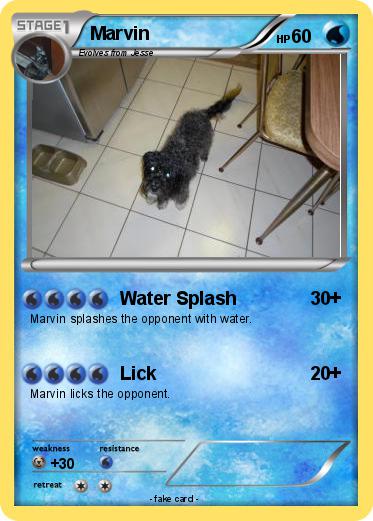 Pokemon Marvin