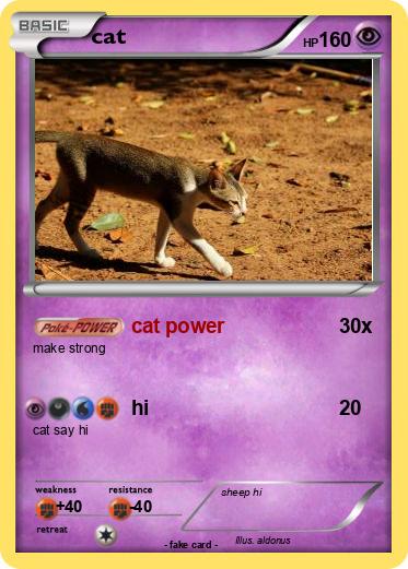 Pokemon cat