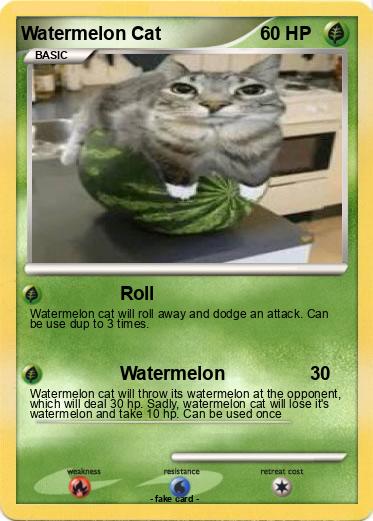 Pokemon Watermelon Cat