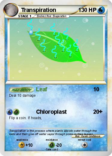 Pokemon Transpiration