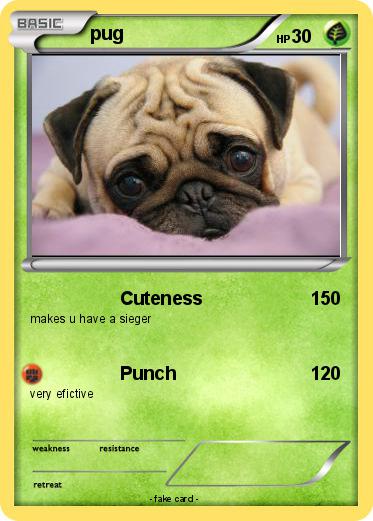 Pokemon pug