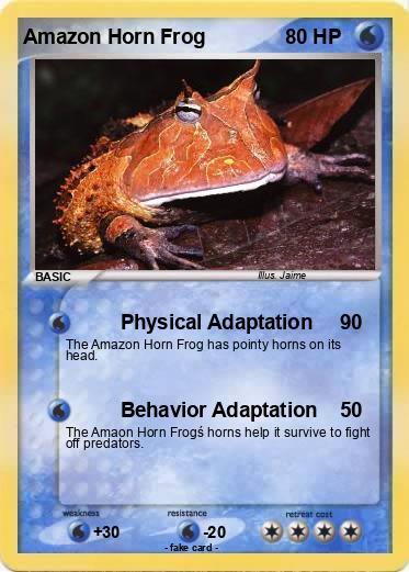 Pokemon Amazon Horn Frog