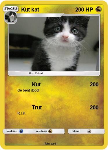 Pokemon Kut kat