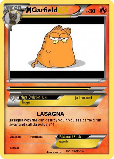 Pokemon Garfield