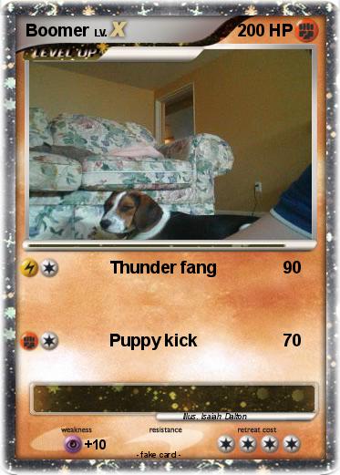 Pokemon Boomer