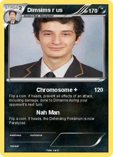 Pokemon Dimsims r us