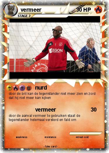 Pokemon vermeer