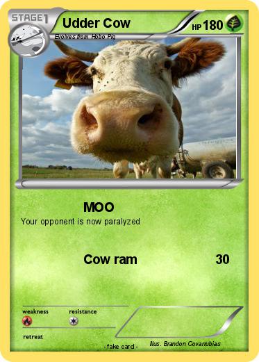 Pokemon Udder Cow