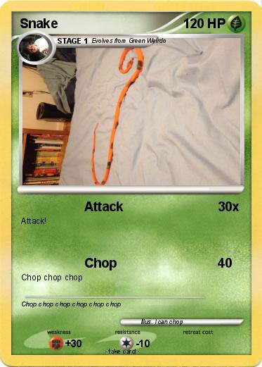 Pokemon Snake