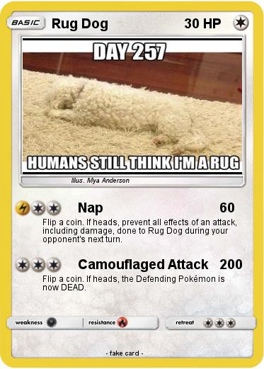 Pokemon Rug Dog
