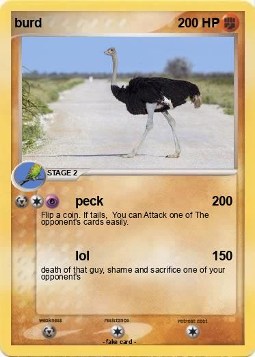 Pokemon burd