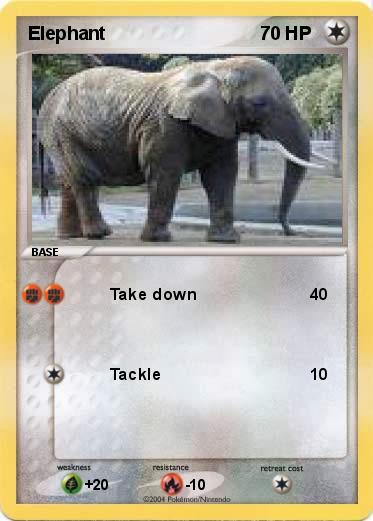 Pokemon Elephant