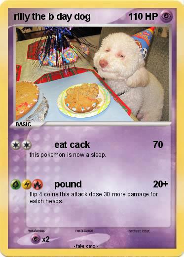 Pokemon rilly the b day dog
