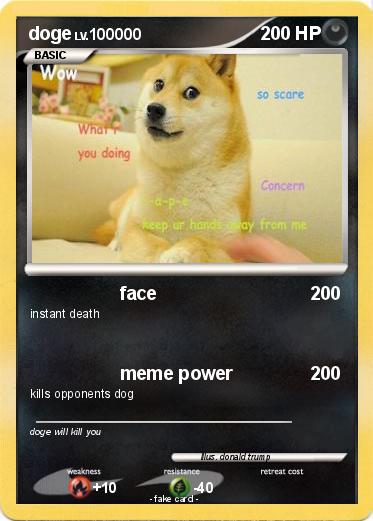Pokemon doge