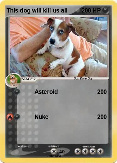 Pokemon This dog will kill us all
