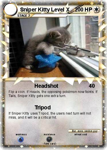Pokemon Sniper Kitty Level X