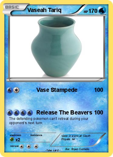 Pokemon Vaseah Tariq