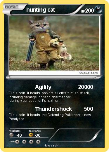Pokemon hunting cat