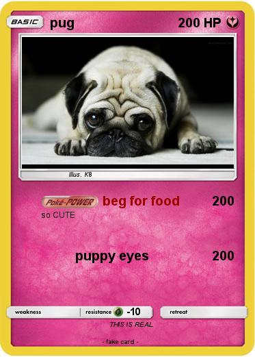 Pokemon pug