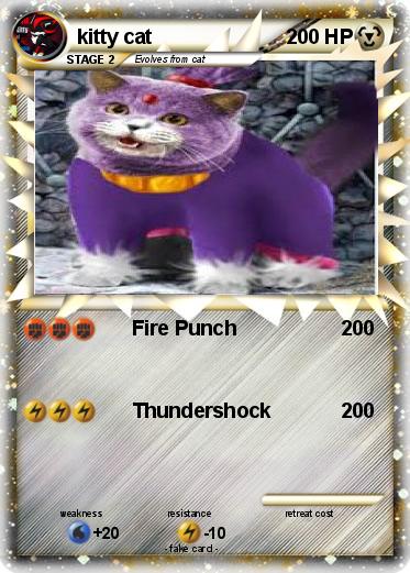 Pokemon kitty cat