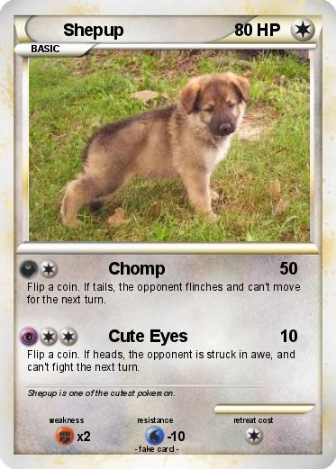 Pokemon Shepup