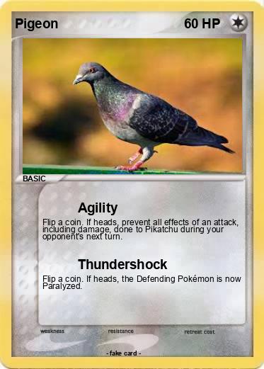 Pokemon Pigeon