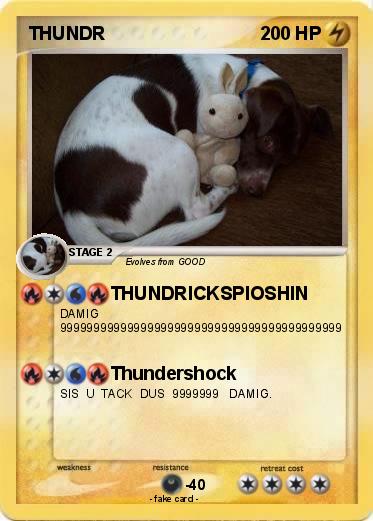 Pokemon THUNDR