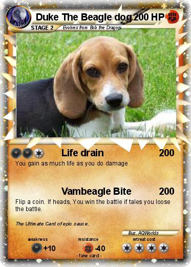 Pokemon Duke The Beagle dog