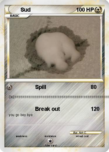 Pokemon Sud