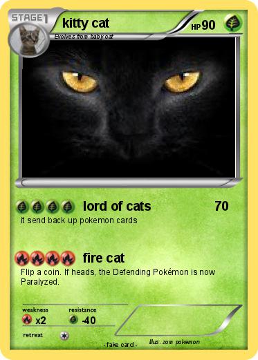 Pokemon kitty cat