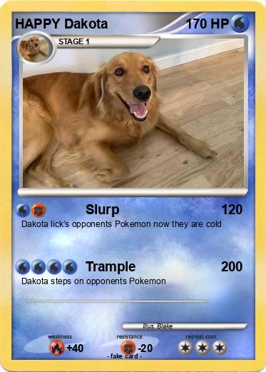 Pokemon HAPPY Dakota