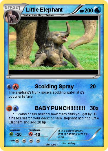 Pokemon Little Elephant