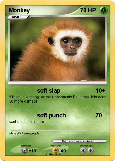 Pokemon Monkey