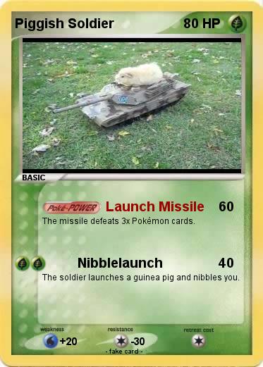 Pokemon Piggish Soldier