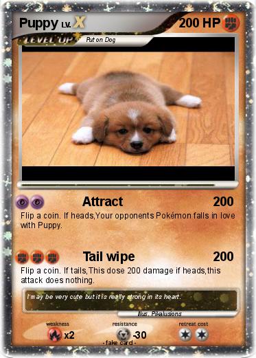Pokemon Puppy