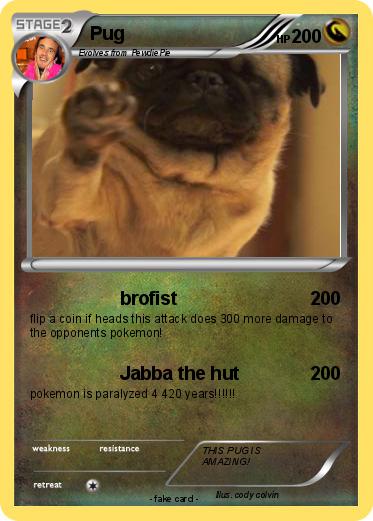 Pokemon Pug