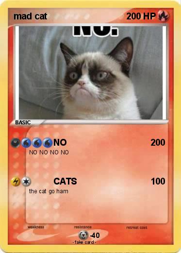 Pokemon mad cat
