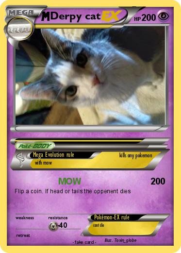 Pokemon Derpy cat