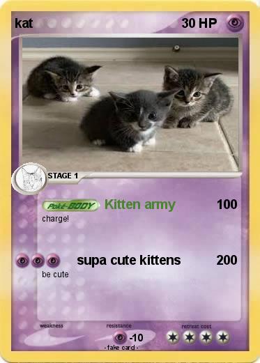 Pokemon kat