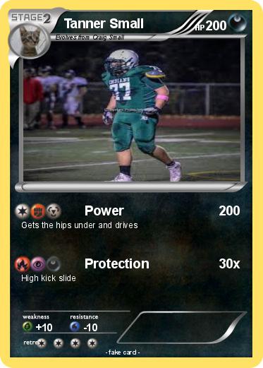 Pokemon Tanner Small