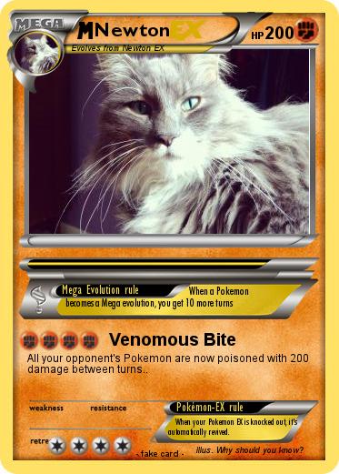 Pokemon Newton