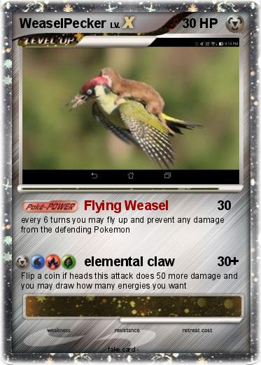 Pokemon WeaselPecker