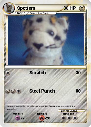 Pokemon Spotters