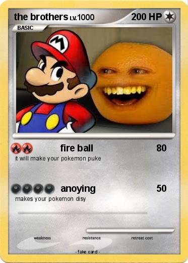 Pokemon the brothers