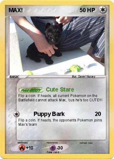 Pokemon MAX!