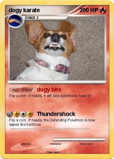 Pokemon dogy karate