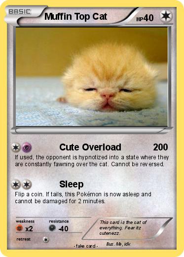 Pokemon Muffin Top Cat