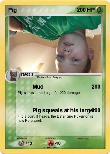Pokemon Pig