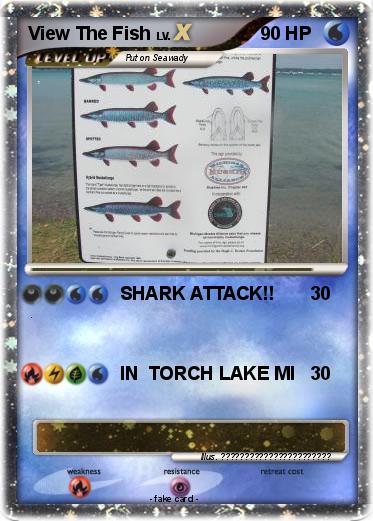 Pokemon View The Fish